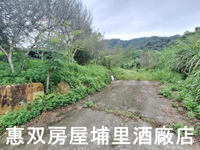 埔里農地-3