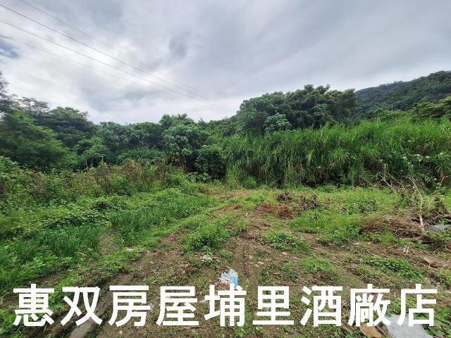 埔里農地-4