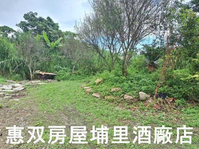 埔里農地-5