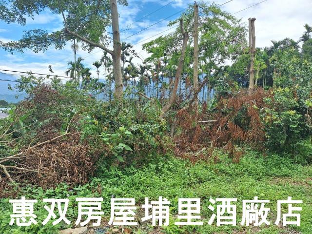 埔里農地-6