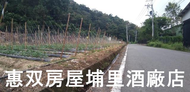 南投農地-3