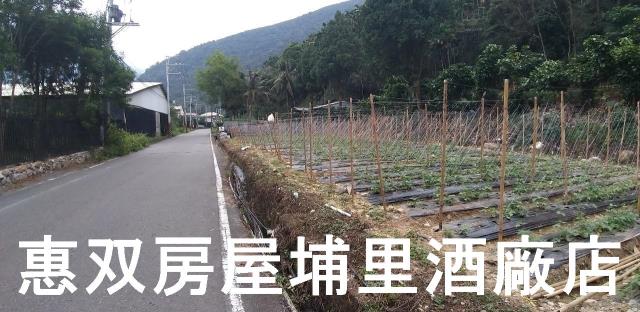 南投農地-4
