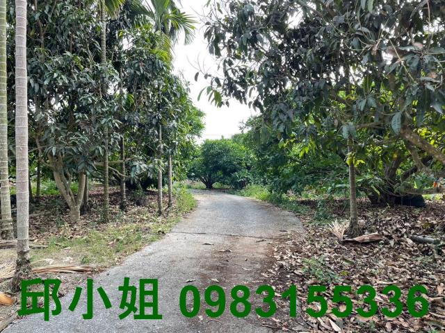 嘉義農地-1