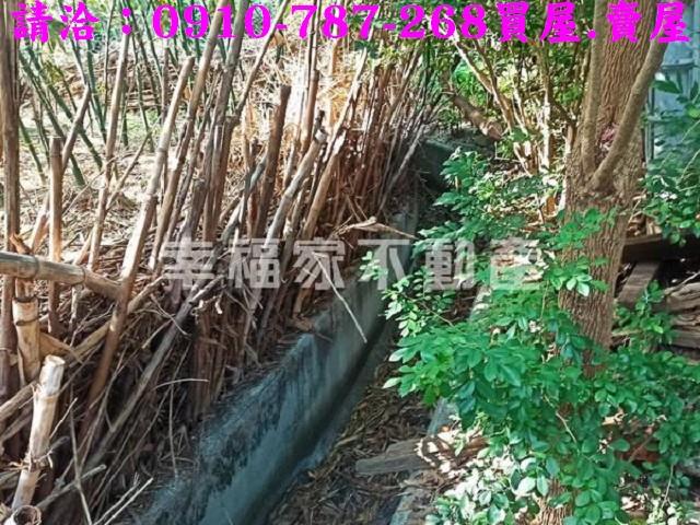 台南新化農地-6