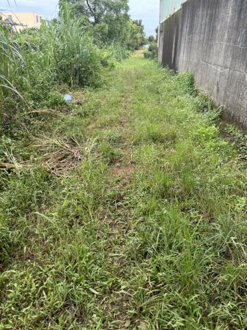 桃園龍潭農地-1