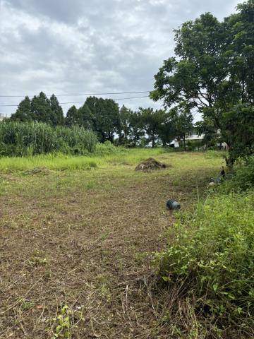 桃園龍潭農地-2