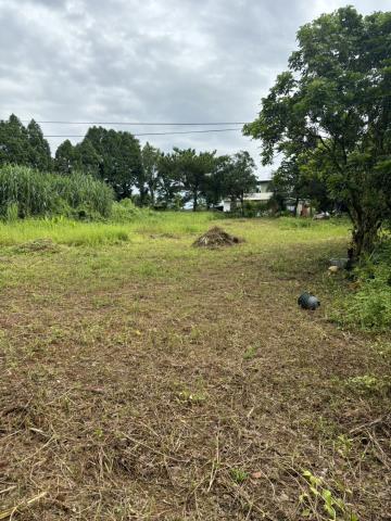 桃園龍潭農地-3