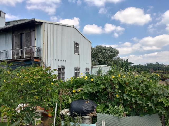 桃園平鎮農地-4