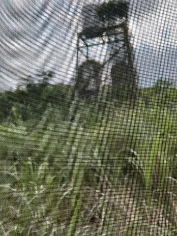 桃園平鎮農地-3