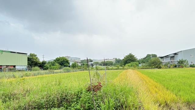 桃園蘆竹農地-5