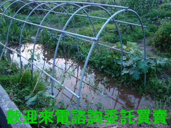 新北農地-1