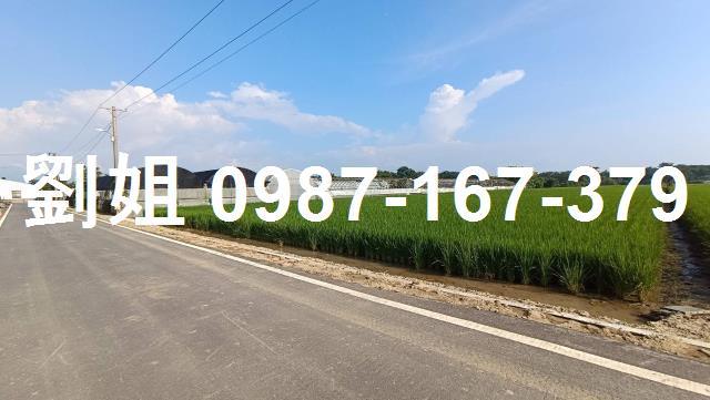 台南柳營農地-0