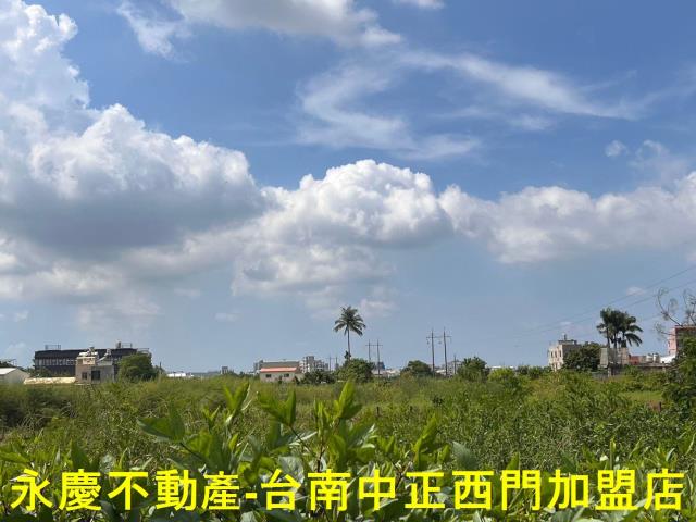 新市農地-0