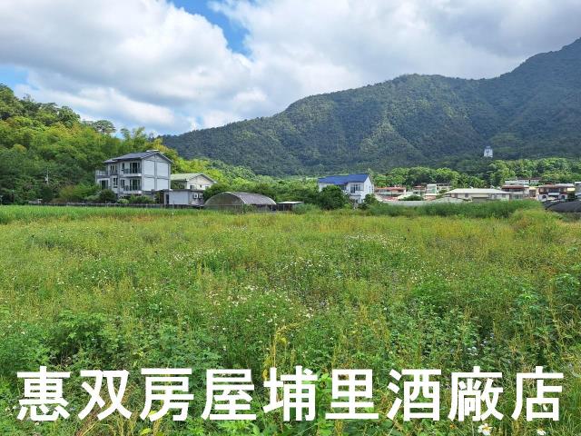 埔里農地-2