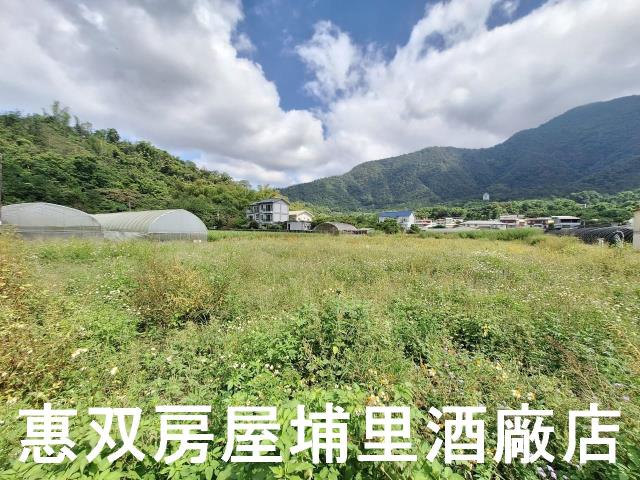 埔里農地-0
