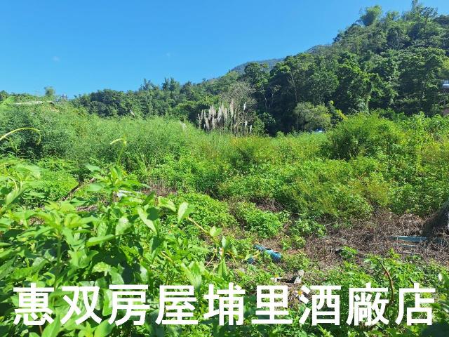 埔里農地-3