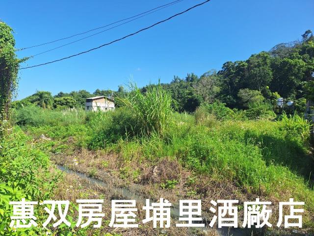 埔里農地-4