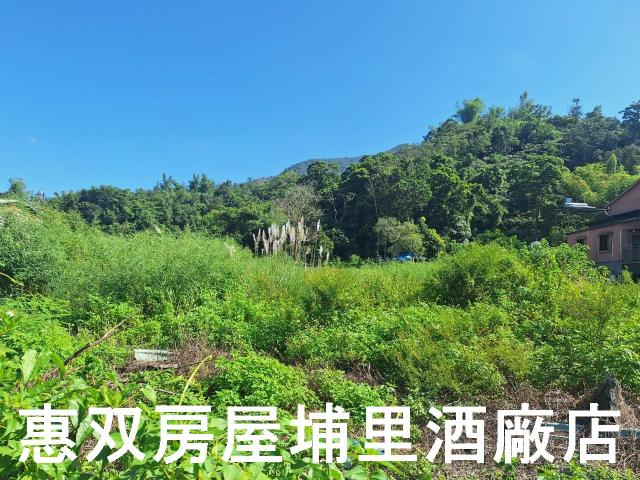 埔里農地-0