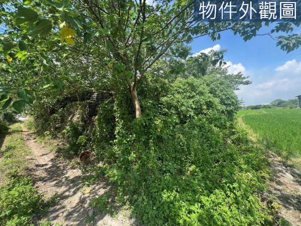 新竹芎林農地-2
