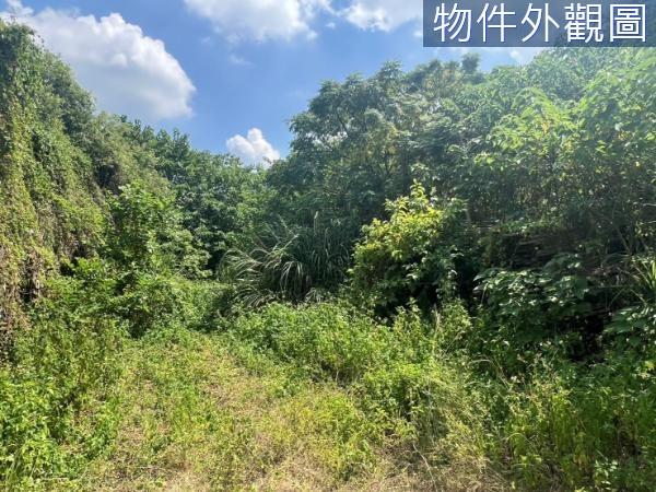 新竹芎林農地-3