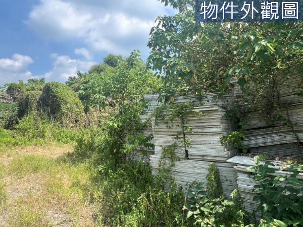 新竹芎林農地-4
