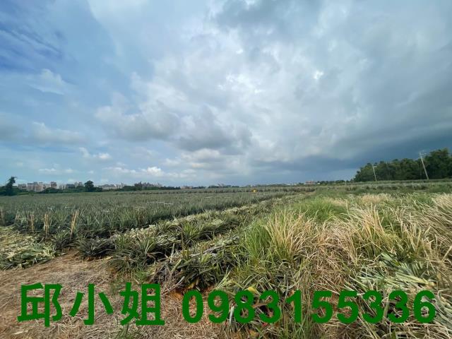 民雄農地-0