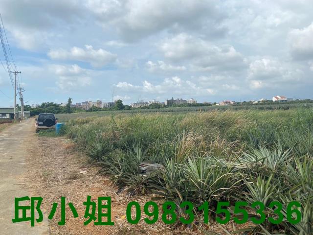 民雄農地-1