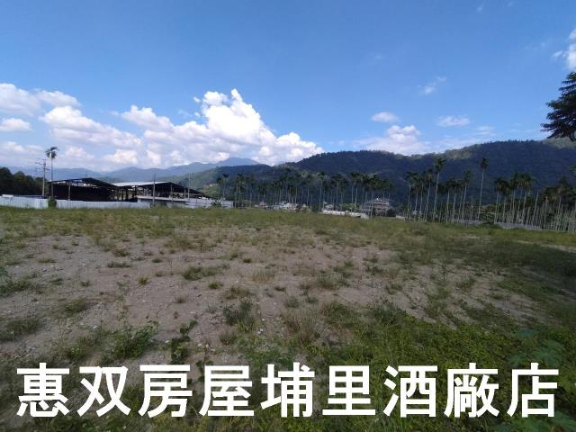 埔里農地-1