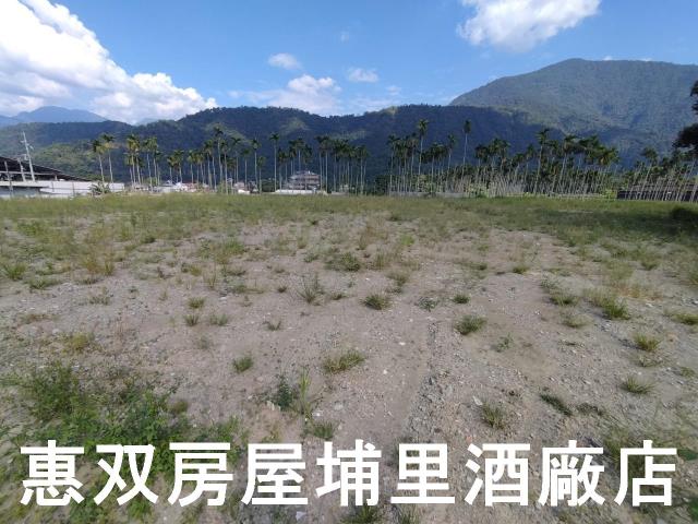 埔里農地-2