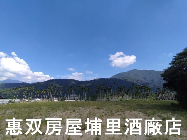 埔里農地-3