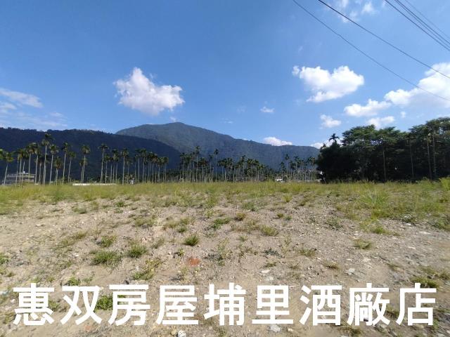 埔里農地-0