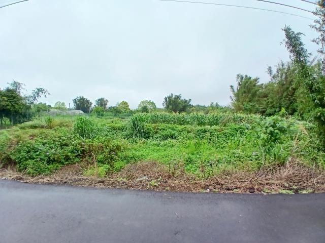 桃園農地-9