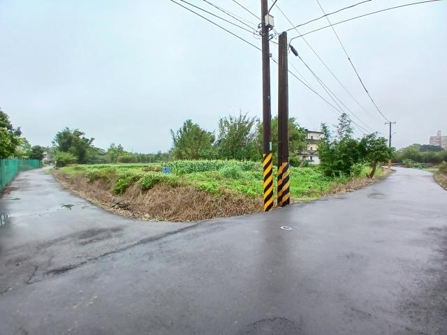 桃園農地-0