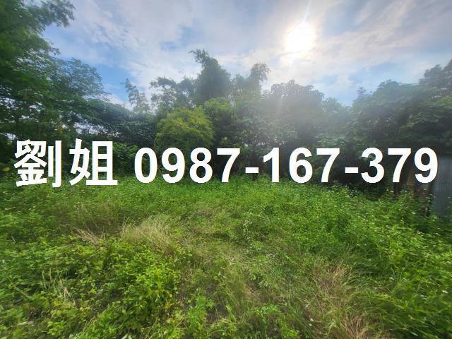 台南左鎮農地-0