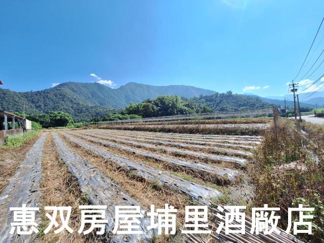 南投埔里農地-1