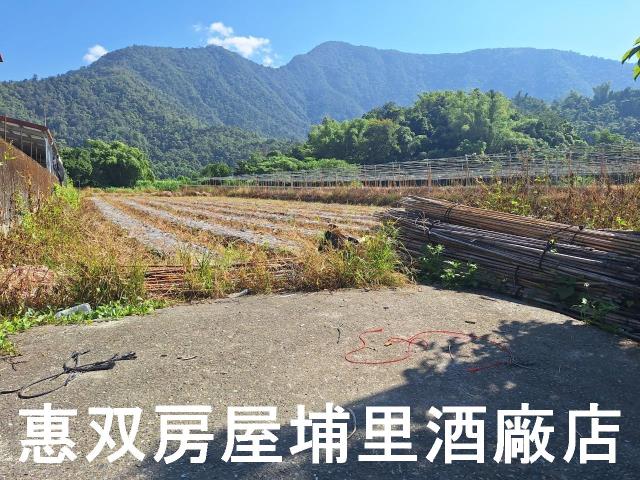 南投埔里農地-3