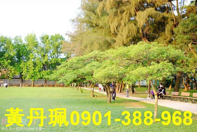 桃園龍潭農地-1