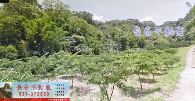 苗栗農地-1