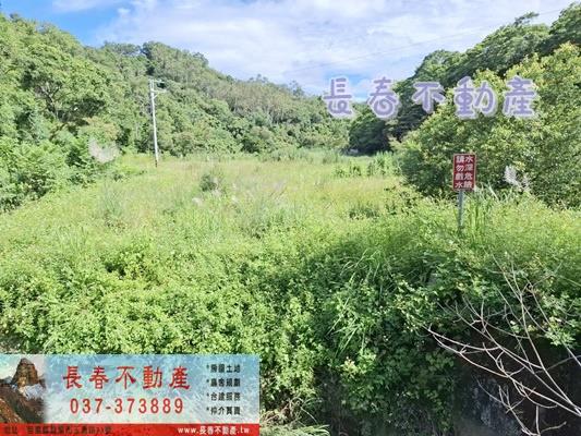 苗栗農地-1