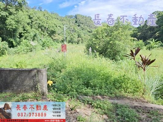 苗栗農地-2