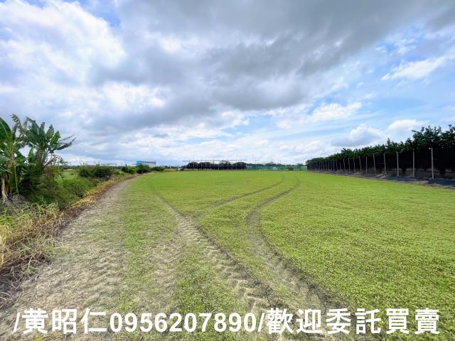 台南麻豆農地-4