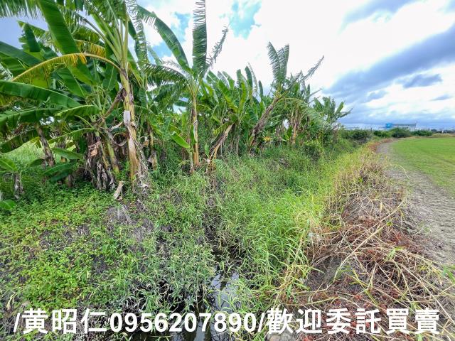 台南麻豆農地-5