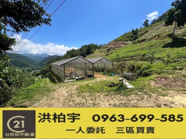 南投國姓農地-0