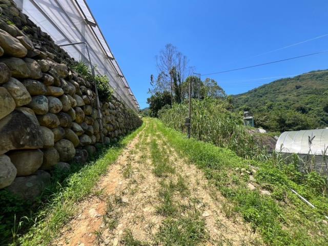 南投國姓農地-1