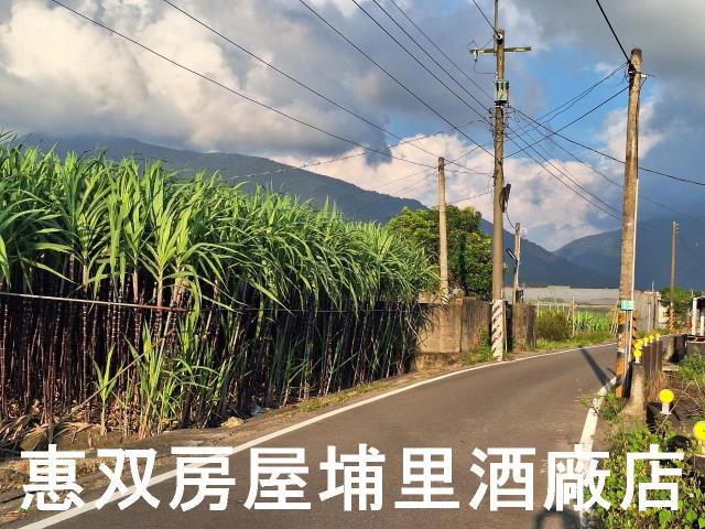 埔里農地-3
