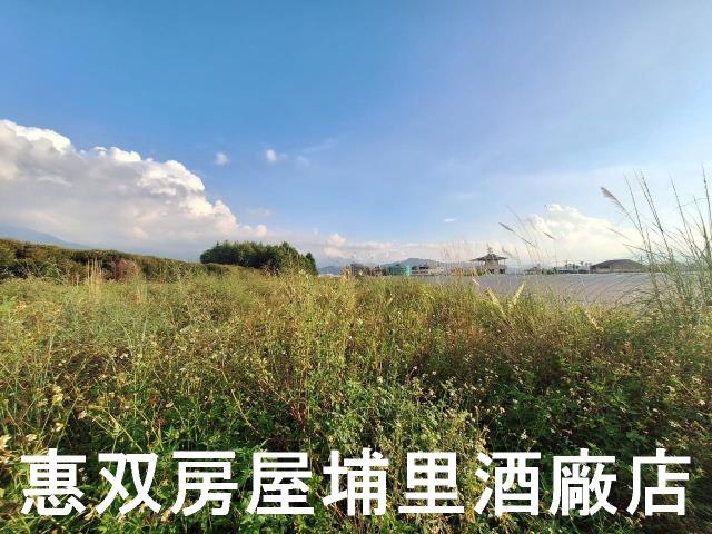 埔里農地-4