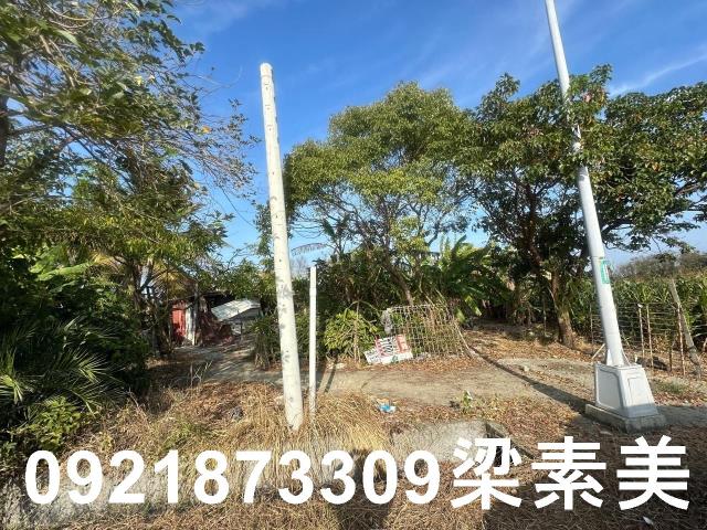 台南農地-10