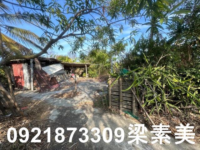 台南農地-12