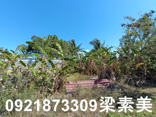 台南農地-3
