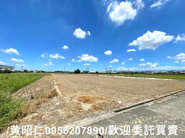 台南善化農地-3